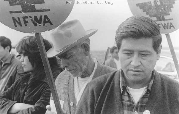 César E. Chávez con signos de la NFWA al fondo