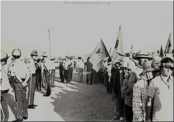 UFW Picket Line