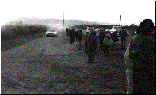 Grape Strike 1973. Strikers in the field in the early morning