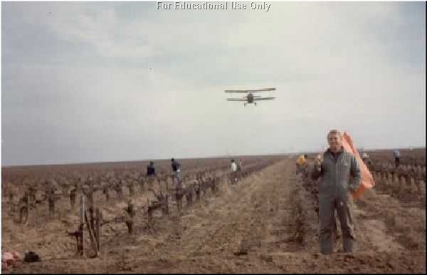Plane Spraying Field with Farm Workers in Field
